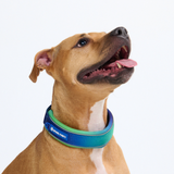 Lime Wave Collar||size:C,D,E