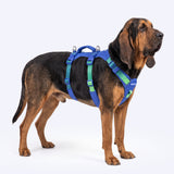 Lime Wave Escape Proof||size:5