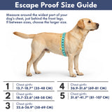 Pastel Icing Escape Proof||size:1,2,3,4,5