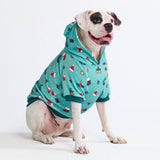 Sudadera con capucha para perro (terciopelo suave)