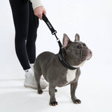 Black Martingale Collar||size:A,B