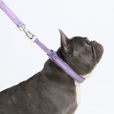 Lilac Collar||size:A,B