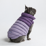 Purple PuffShield Jacket||size:L,XL