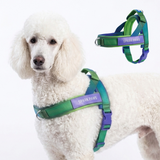 Lime Wave Grab and Go||size:4