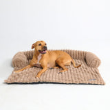 Brown Lux Couch Bed