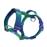 Arnés para perros Comfort Control No-Pull - Lime Wave