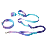 90s Retro Martingale Collar||size:A,B,C,D,E