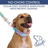 Pastel Icing Martingale Collar||size:C,D,E