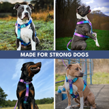 90s Retro Harness||size:S,M,L