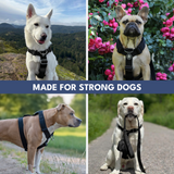 Arnés para perros Comfort Control No-Pull - Negro