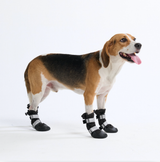 Botas de agua para perro, Zapatos impermeables para perro - Negro