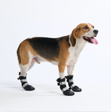 Botas para perros resistentes al agua con estructura flexible - Negro