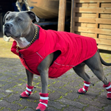 Botas para perros resistentes al agua con estructura flexible - Rojo