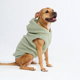 Chaqueta Teddy Sherpa - Verde claro