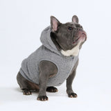 Chaqueta Teddy Sherpa - Gris plateado