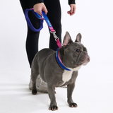Snow Cone Neoprene Leash