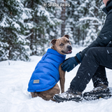 Blue Thermosonic Winter Jacket||size:S,M,L,XL,2XL,3XL,4XL