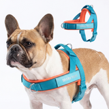 Teal Apricot Grab and Go||size:2
