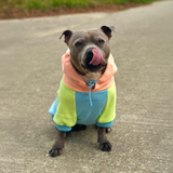 Jellybean Hoodie||size:S,M,L,XL,2XL,3XL,4XL,5XL