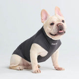 Camiseta para perro con bloqueador solar - Gris oscuro