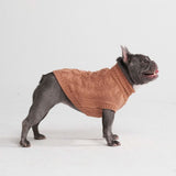 Suéter de punto de trenzas para perros - Marrón