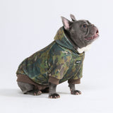 Sudaderas Concrete Wood para perros – Musgo
