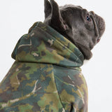 Sudaderas Concrete Wood para perros – Musgo