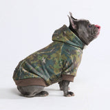Sudaderas Concrete Wood para perros – Musgo