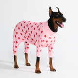 Pijama para Perros - Corazones Rosas