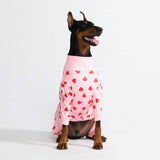 Pijama para Perros - Corazones Rosas