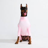 Pijama para Perros - Rayas Rosas