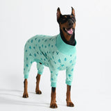 Pijama para Perros - Cactus