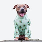 Pijama para perro - Aguacate