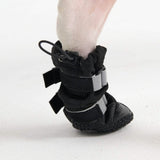 Botas para perros resistentes al agua con estructura flexible - Negro