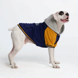 Chaqueta universitaria para perros - Azul y amarillo