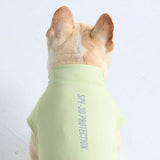 Camiseta para perro con bloqueador solar - Verde claro