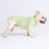 Camiseta para perro con bloqueador solar - Verde claro