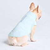 Camiseta para perro con bloqueador solar - Azul claro