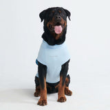 Camiseta para perro con bloqueador solar - Azul