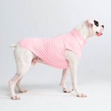 Camiseta para perro con bloqueador solar - Rosa