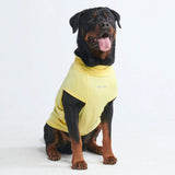 Camiseta para perro con bloqueador solar - Amarillo