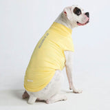 Camiseta para perro con bloqueador solar - Amarillo