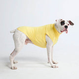 Camiseta para perro con bloqueador solar - Amarillo