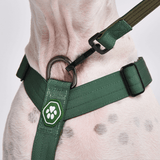 Juego de arneses para perros Comfort Control No-Pull - Verde militar