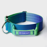 Conjunto de collar táctico para perros - Lime Wave