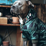 Sudadera Shark Monster Dog - Verde Camuflaje
