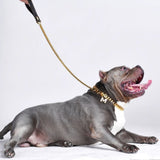 Correa para perro Cuban Link Gold