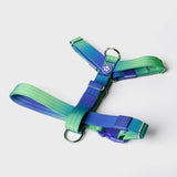 Arnés para perros Comfort Control No-Pull - Lime Wave