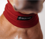 Protector para Orejas Calmantes de Ansiedad para Perros - Rojo