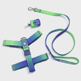 Juego de arneses para perros Comfort Control No-Pull - Lime Wave